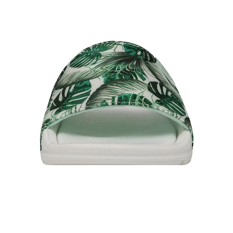 Chandler Youth - Summerdendron 4 Chandler Youth - Summerdendron - Image 4